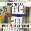 Filagra DXT 12